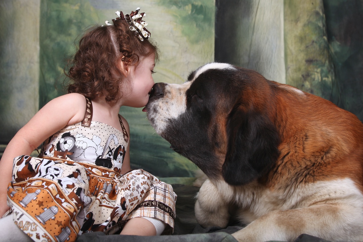 愛すべき犬種：おとなしく愛情深い20の犬種を見る
