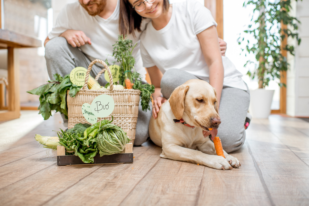 Verduras que puede comer un cachorro: ¡lista completa con precauciones y más!
