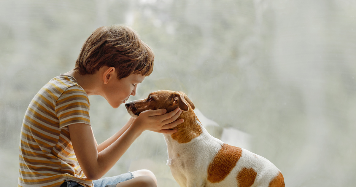 Лучшие породы собак для детей: знакомство с 30 вариантами