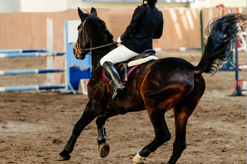 Paardrijden: begrijpen wat het is, de voordelen en tips om te beginnen