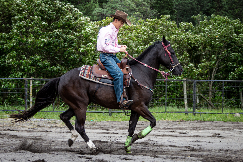 Sportovi s konjima: naučite o kroćenju, vaquejadi i još mnogo toga
