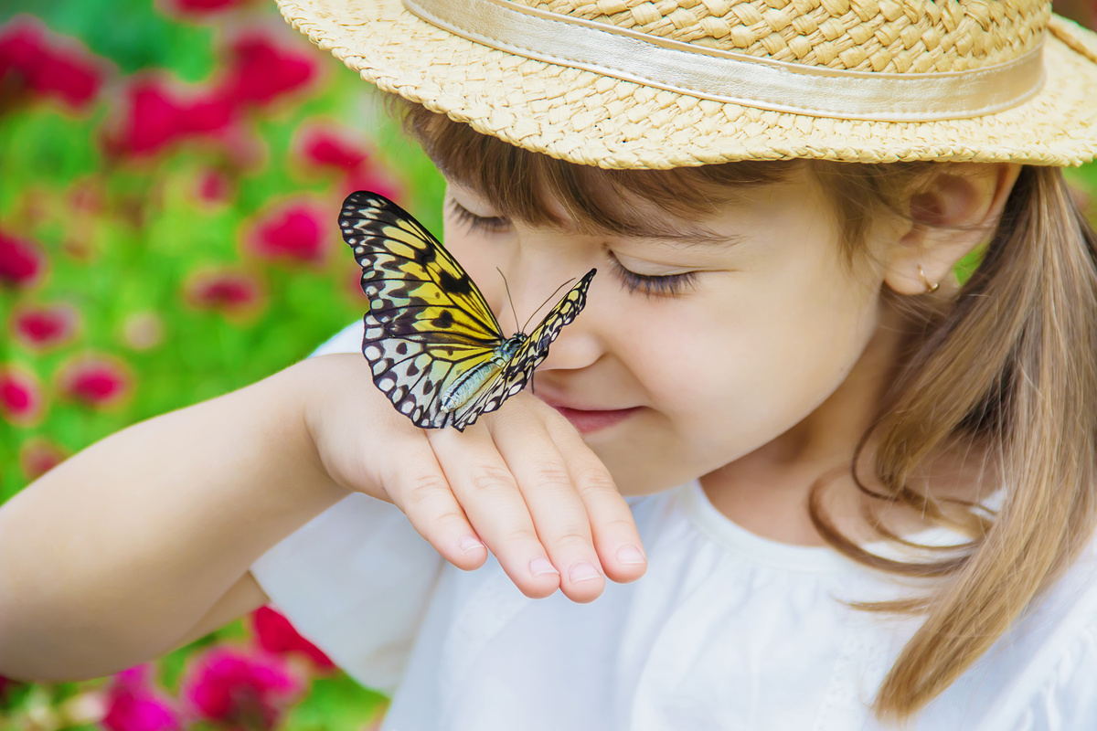 Видови пеперутки: видете ги малите, големите и егзотичните